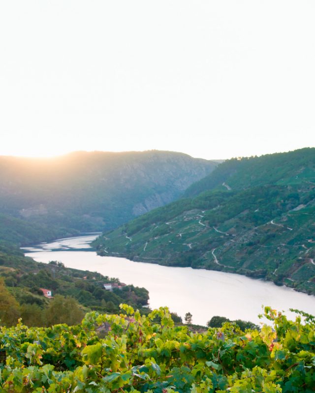 oferta-duero-servinauta