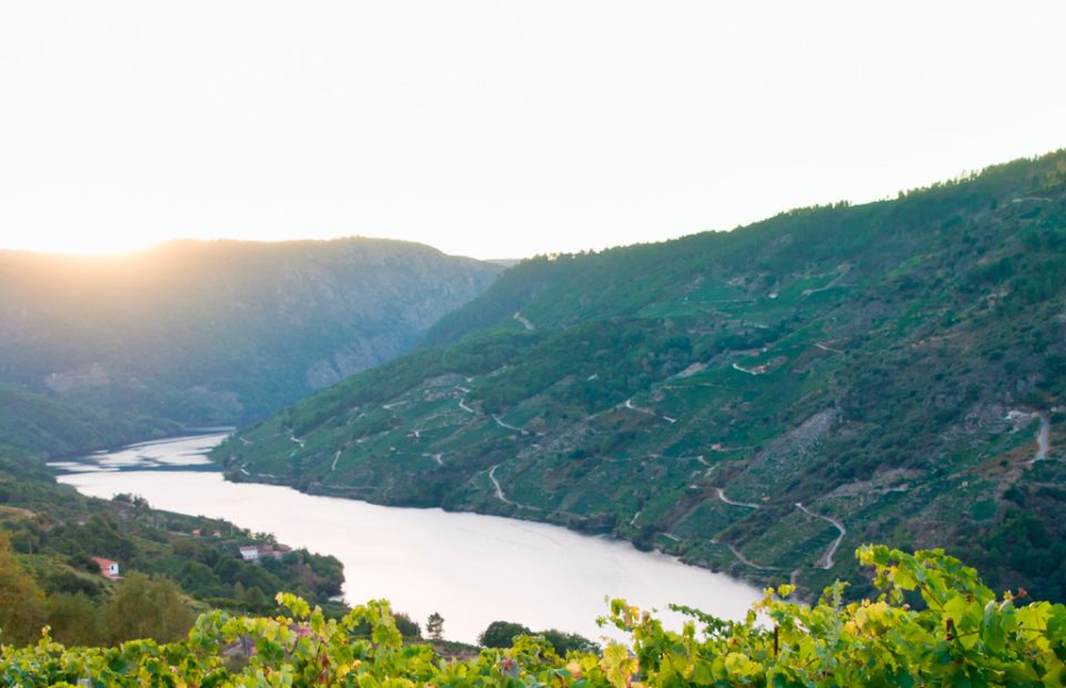 oferta-duero-servinauta