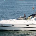 Cranchi 36